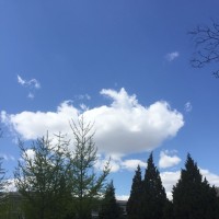 C罗国家队二十大进球,多少人因为C罗而爱上足