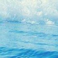 复照青苔上的个人频道