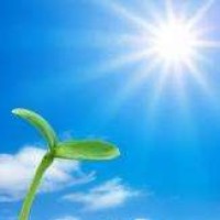 电影中露脸的中国女星之Angelababy,杨天宝这