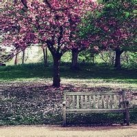 孙俪晒一家四口温馨合照,6岁等等已长成长腿小