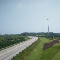 迷你世界,一朵花一棵树,一座房子一条路