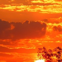 红楼梦中提到的禁书 方亚芬越剧经典唱段西厢