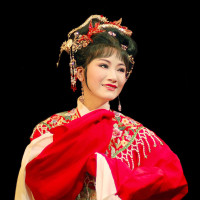 豫剧《打金枝》太像刘忠河,黄爱菊老师了!