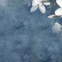 爱情保卫战:拜金女太能花,富二代都受不了,涂磊