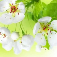 老白爱摄影的个人频道