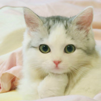 杉杉来了花絮:小粉丝不远千里探班赵丽颖,颖宝