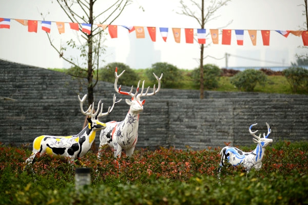 最美国际校园之成都蒙彼利埃小学