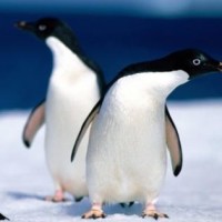 冠军典狱长的个人频道 - 视频列表