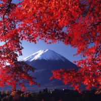 黑中一点儿白的个人频道