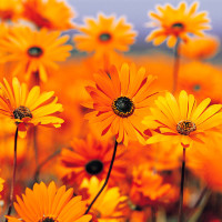 《向往的生活》何炅吐槽陈冠希耍大牌,仅是因