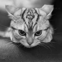 雷好啊的个人频道