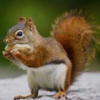 意外之外的八一的个人频道