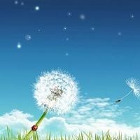 宝宝搭建火车轨道,和托马斯一起玩