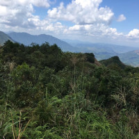 中国象棋棋局,士象全对马兵