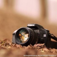 介休这里看热闹的人好多