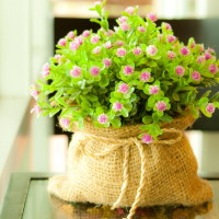 周星驰究竟适不适合做导演?