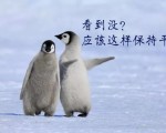 冰雪天 出门请好好向企鹅学习