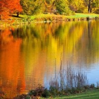 四川方言:抗日神剧太君过年想要红包,最后被气