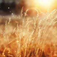 复仇者联盟2:奥创纪元最精彩的打斗,很多人都