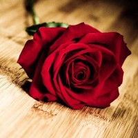 2018 最新香奈儿高级时装秀,春夏季,白色连衣裙