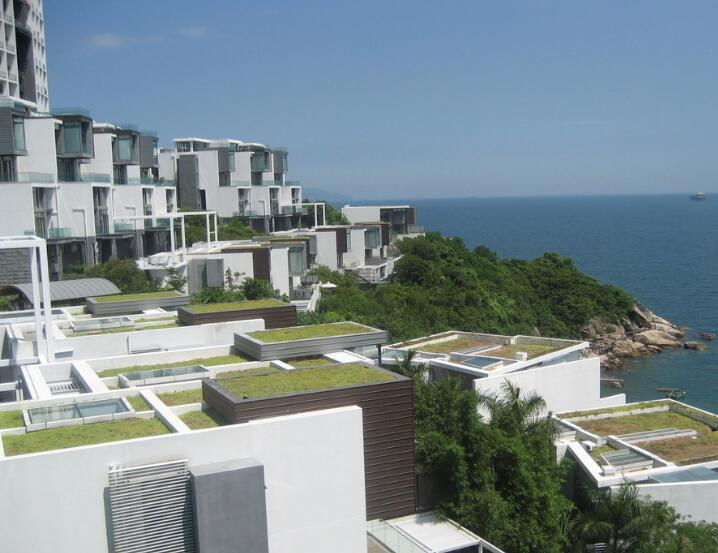 那些定居深圳的名人明星 青睐深圳湾最爱香蜜