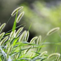 毛草电影屋的个人频道