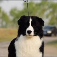 笑功震武林 江湖七怪 谢娜王祖蓝吴君如曾志伟