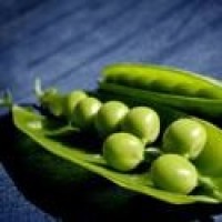 雄兵连之天河战役:瑞萌萌太可爱了,上课的时候