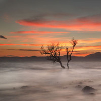 《我是大侦探》邓冷漠人设不保! 邓伦比心功