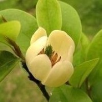 广场舞《踏浪》广场舞 鬼步舞 鬼步舞视频 广场舞视频大全