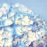 克拉恋人:高雯一分钟说400个字,说话的语速跟