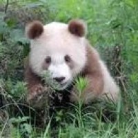 屌德斯解说 超级马里奥 奥德赛07 马里奥变身食