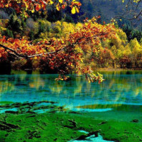 广场舞精选:《卡路里》广场舞视频教学,简单好