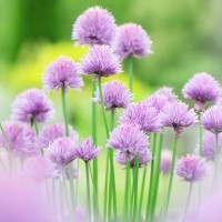 农村小孩搞笑视频,太有才了!肚子都笑疼