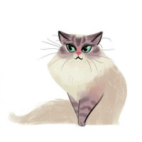 幼儿园手指操:小手拍拍