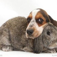 我想和你唱2 170603 第六期 杨千嬅部分片段