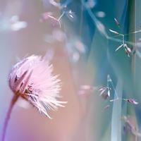 上海女孩称没房没车算什么男人?孟非当场嘲讽