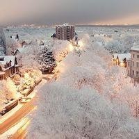 学历史的雁卉的个人频道