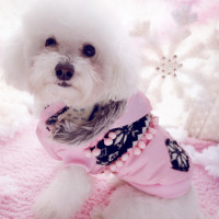 老师上课前突然大秀歌喉,同学们都笑了