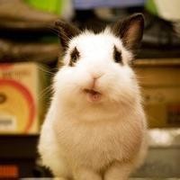 原创视频丨监狱人民警察我们不一样音乐MV首