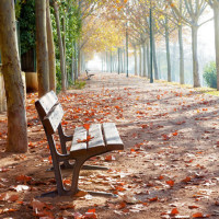 老白谈搞笑的个人频道