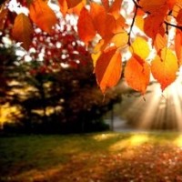 舸舰迷津的个人频道