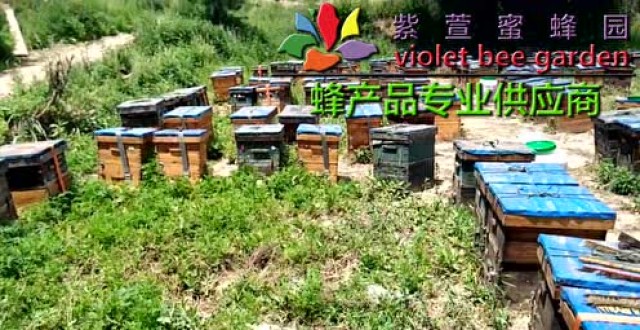 小孩喝蜂蜜水有好处吗?