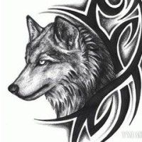 《红日》的日文原版现场演唱,日文版也同样激