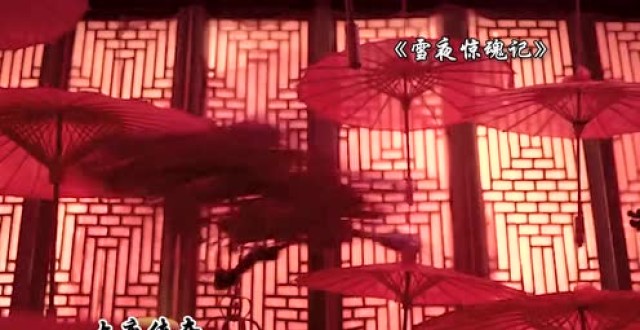 不守规矩的杀手