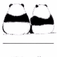 周星驰经典《国产凌凌漆》超搞笑片段!不笑算