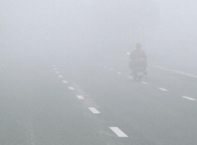 父母强势逼婚 白领欲放弃高薪进厂打工找女友