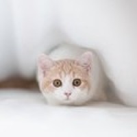 何以笙箫默 钟汉良唐嫣强吻片段, 赵默笙你敢