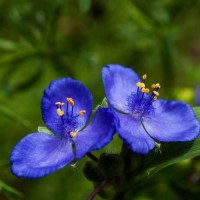 起舞说说的个人频道