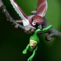 奋斗的小阿斗的个人频道